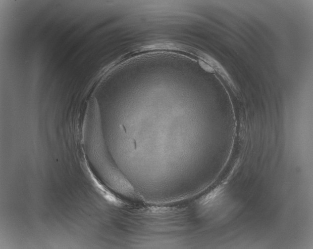 X0000084030849200702161432