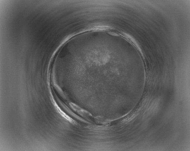 X0000084030851200702161433