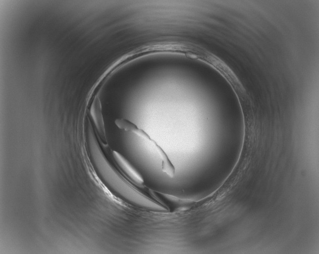 X0000084030852200702161433