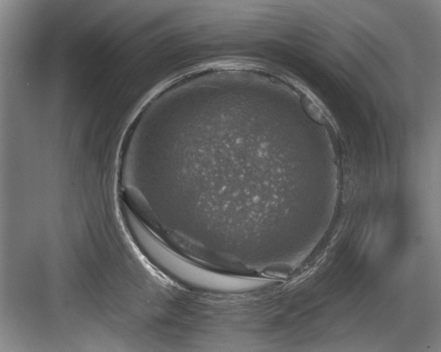 X0000084030853200702161433