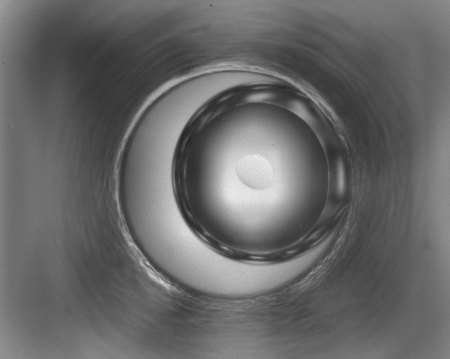 X0000084030854200702161433