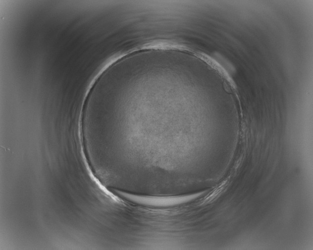 X0000084030855200702161433