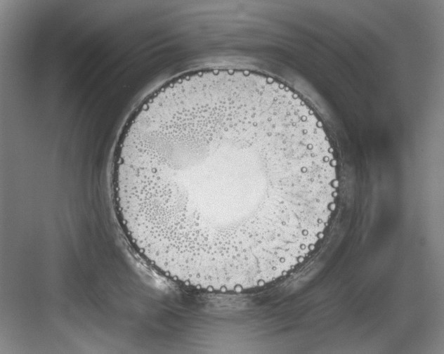 X0000084030856200702161433