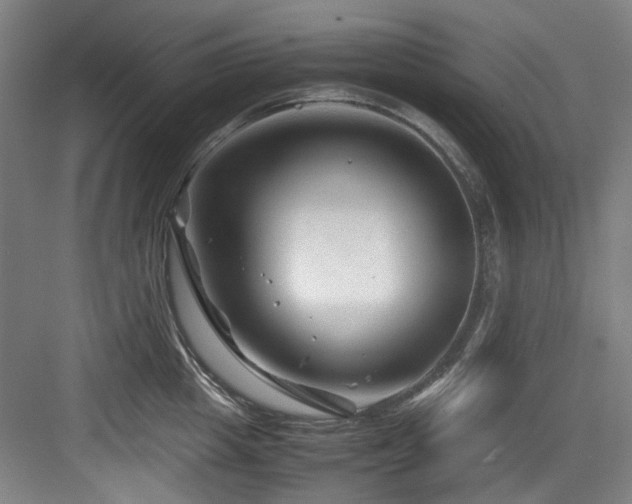 X0000084030857200702161433