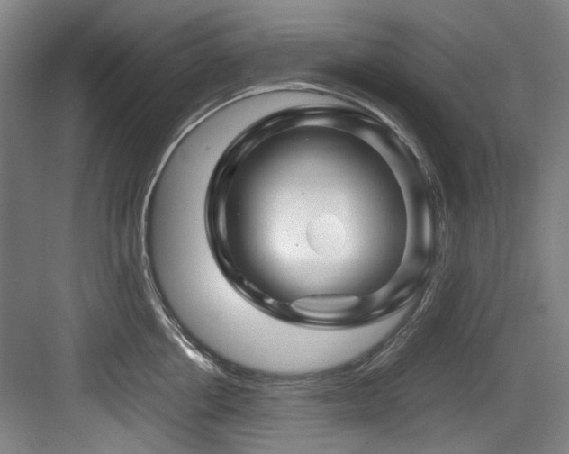 X0000084030858200702161433