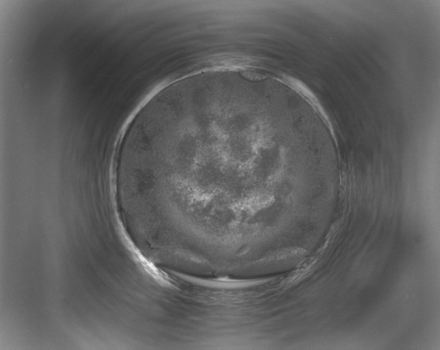 X0000084030859200702161433