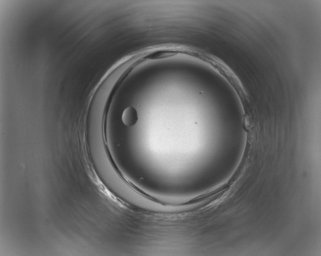 X0000084030860200702161433