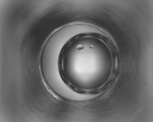 X0000084030862200702161433