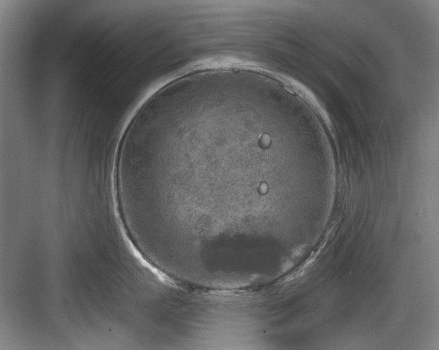 X0000084030863200702161433