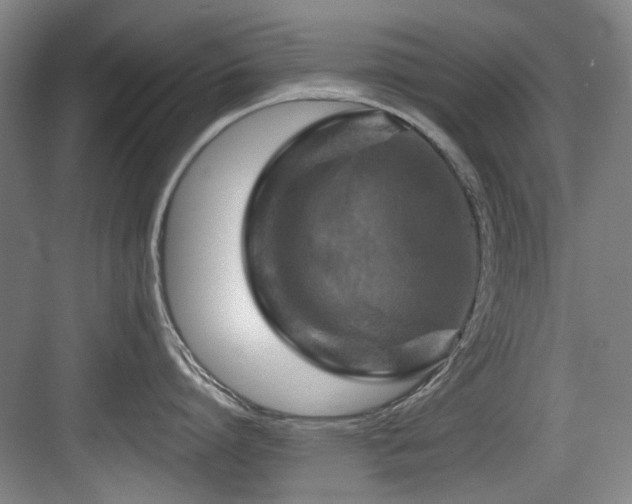 X0000084030864200702161433