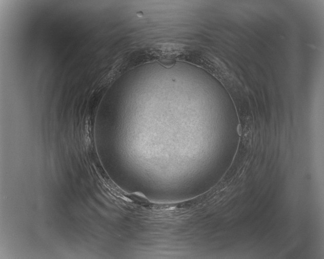 X0000084030866200702161432