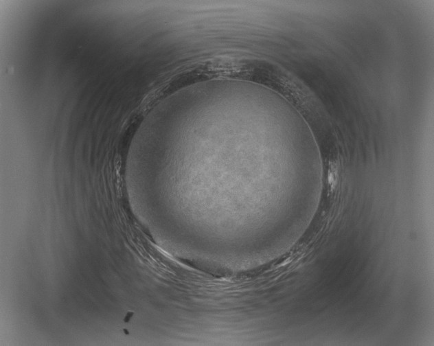 X0000084030867200702161432