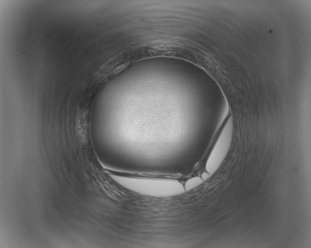 X0000084030868200702161432