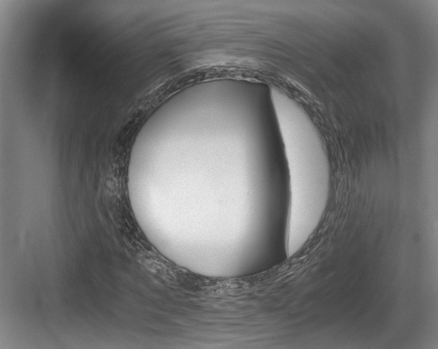 X0000084030869200702161432