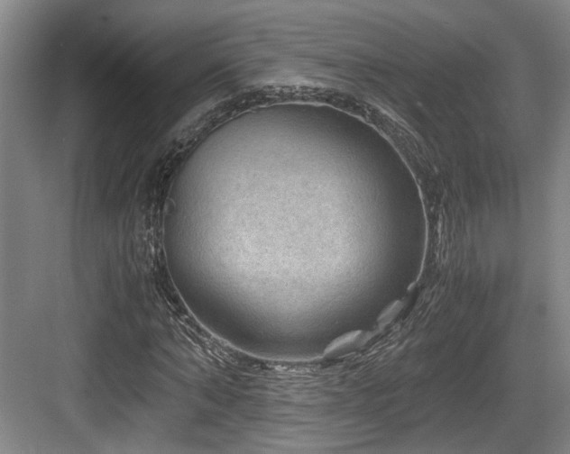 X0000084030870200702161432