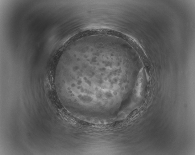 X0000084030871200702161432