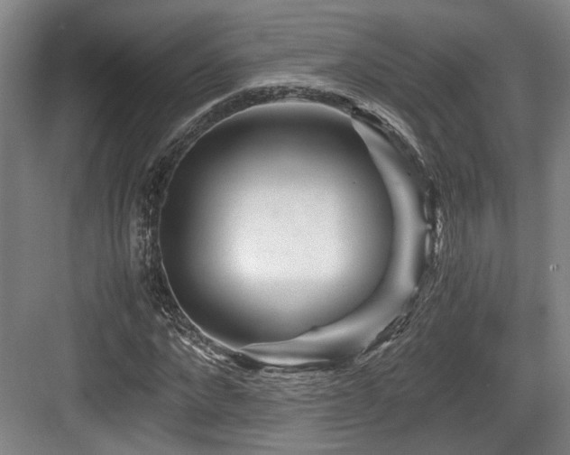 X0000084030872200702161432