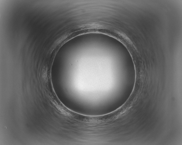 X0000084030873200702161432