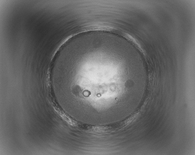 X0000084030875200702161432