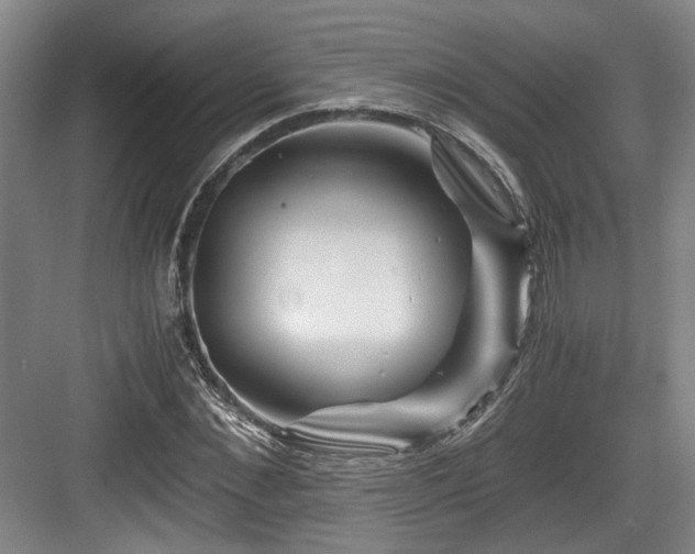 X0000084030876200702161432