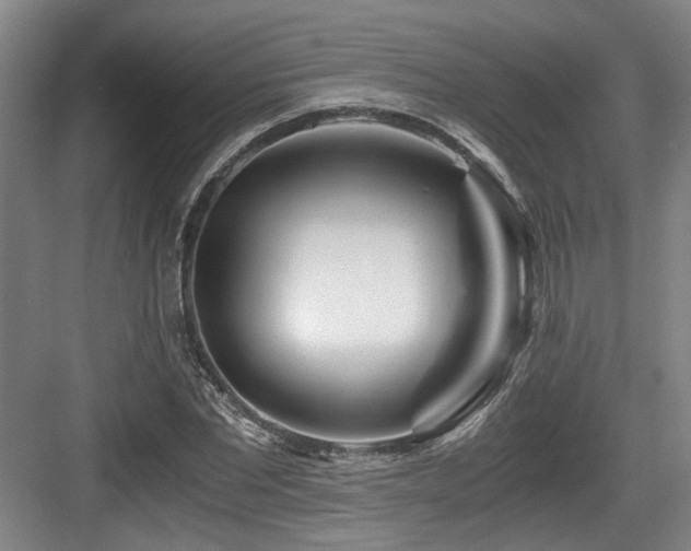 X0000084030877200702161432