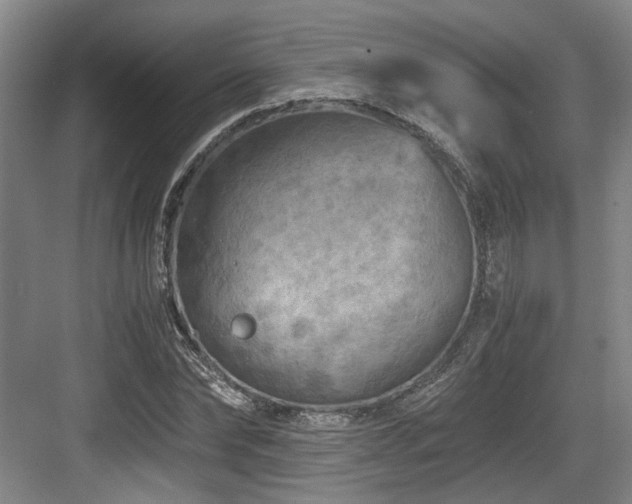 X0000084030878200702161432