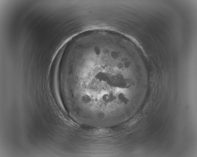 X0000084030879200702161432