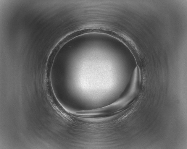 X0000084030880200702161432