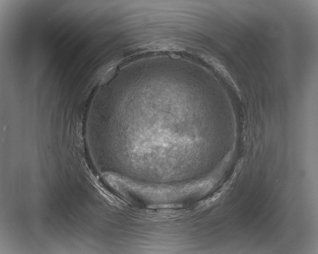 X0000084030881200702161432