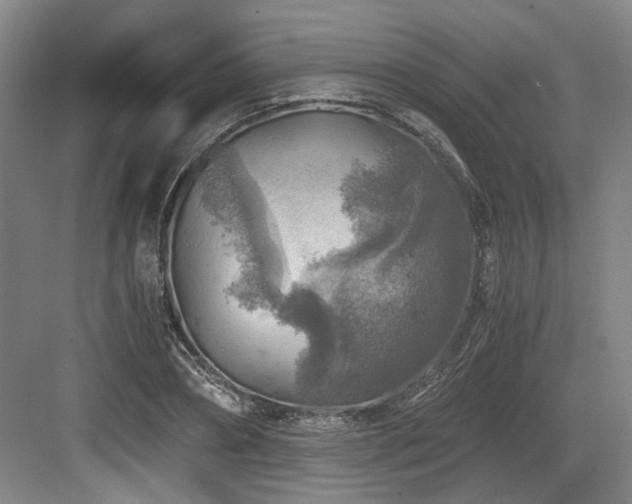 X0000084030882200702161432