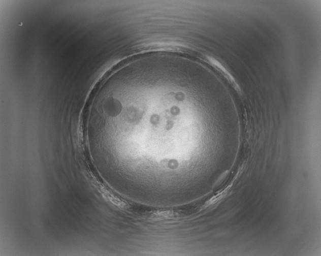 X0000084030883200702161432