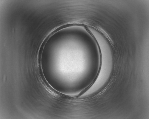 X0000084030884200702161432