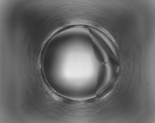 X0000084030885200702161432