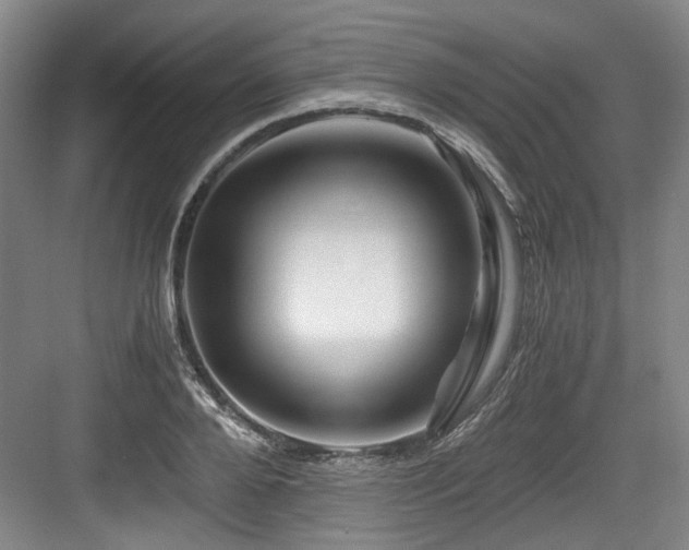 X0000084030888200702161432