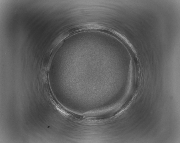 X0000084030889200702161432