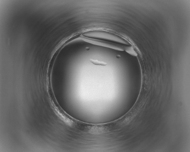 X0000084030890200702161432