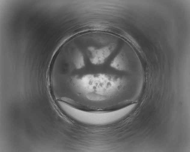 X0000084030891200702161432