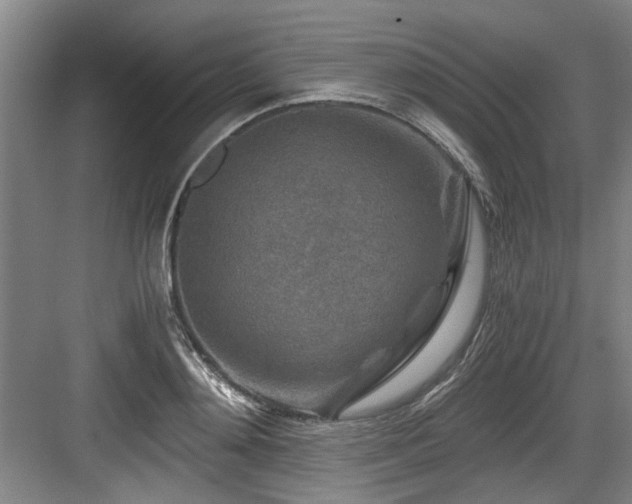 X0000084030892200702161431