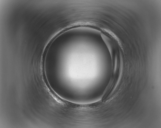 X0000084030894200702161431