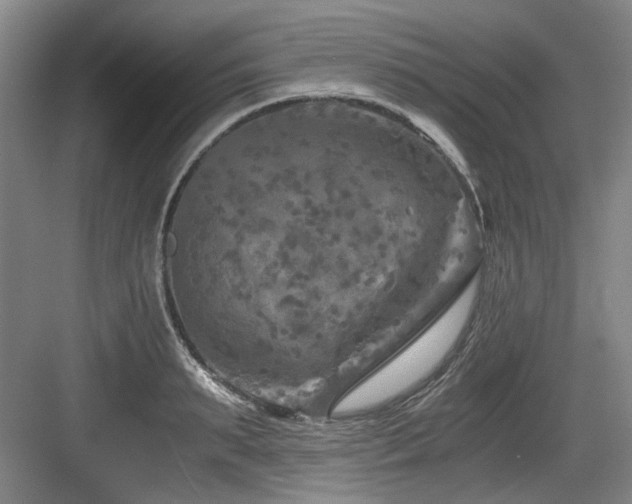 X0000084030895200702161431