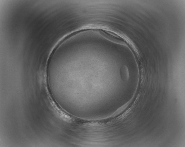 X0000084030896200702161431