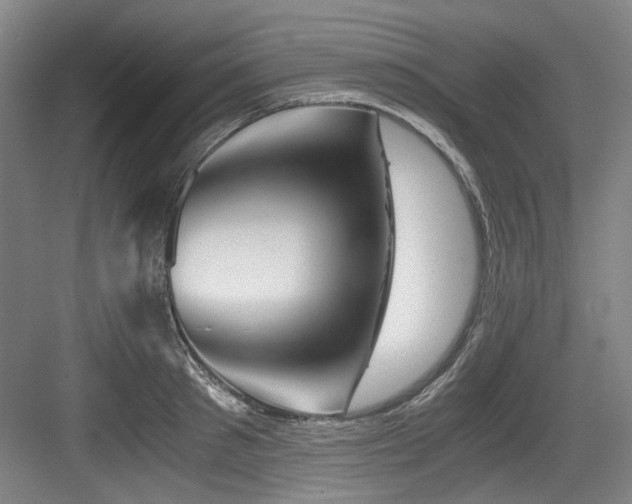 X0000084030897200702161431