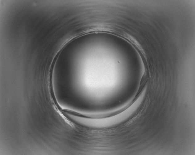 X0000084030898200702161431