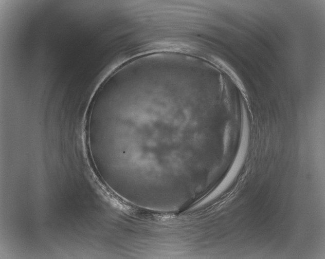 X0000084030899200702161431