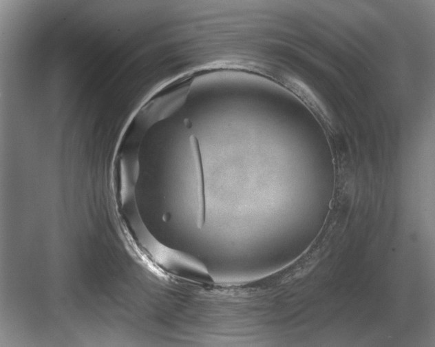 X0000084030900200702161431