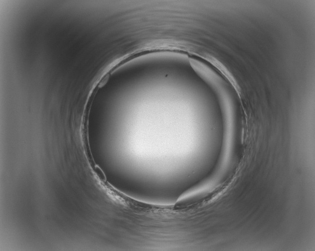 X0000084030901200702161431