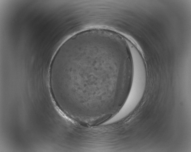 X0000084030903200702161431