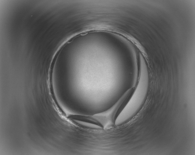 X0000084030904200702161431