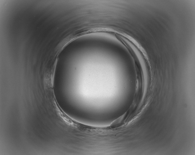 X0000084030905200702161431