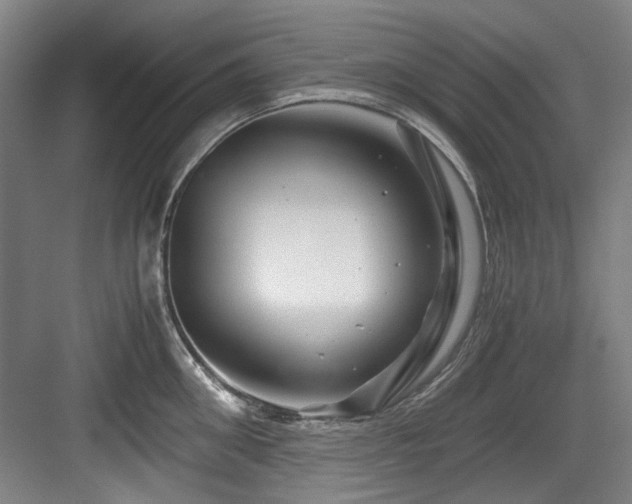 X0000084030906200702161431